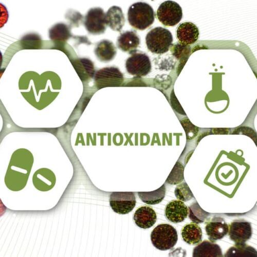 Astaxanthin, AgeRejuvenation in Tampa Bay and Central Florida