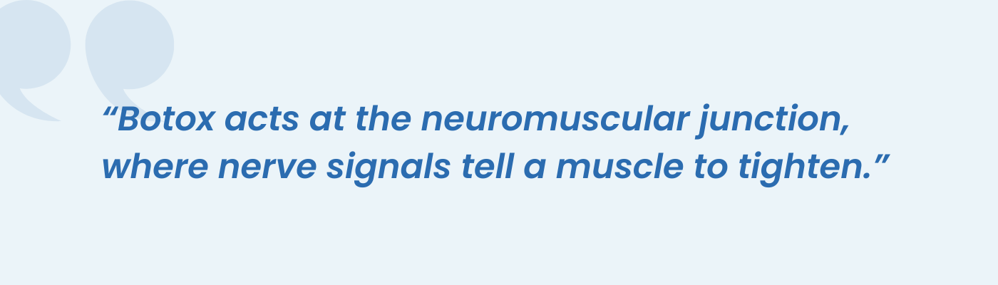 Quote describing how Botox acts at the neuromuscular junction to relax a muscle