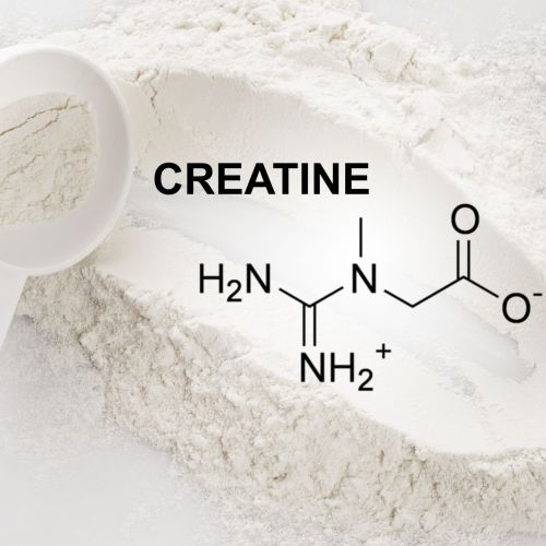 Creatine for Women Unlocks Your Cellular Potential - Naturally, AgeRejuvenation in Tampa Bay and Central Florida
