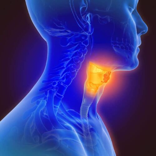 Don’t Neglect Your Thyroid Health Issue, AgeRejuvenation in Tampa Bay and Central Florida