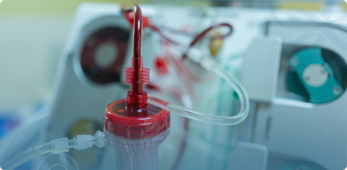 EBOO vs. IV Therapy in Brandon: What Matters Most for Inflammation and Recovery, AgeRejuvenation in Tampa Bay and Central Florida