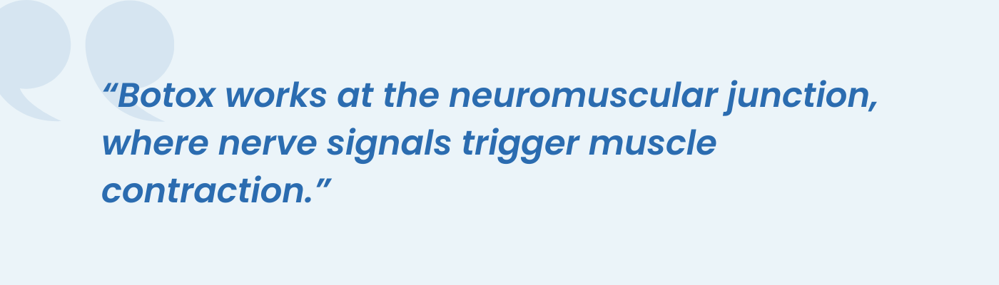 AgeRejuvenation quote explaining how Botox works at the neuromuscular junction