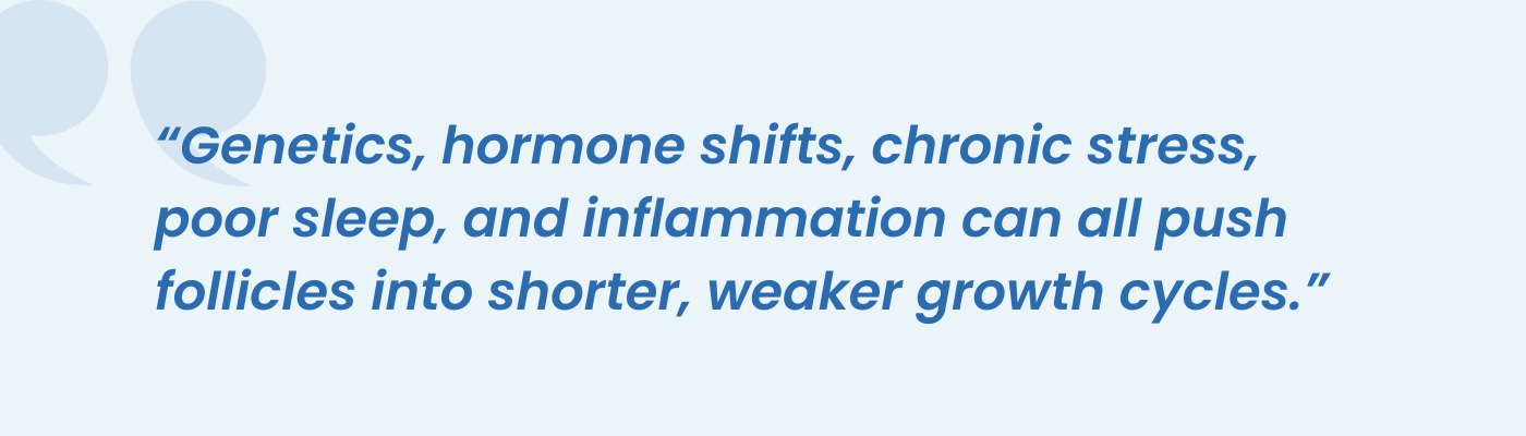 Quote graphic on how genetics, hormones, stress, and inflammation weaken hair growth cycles