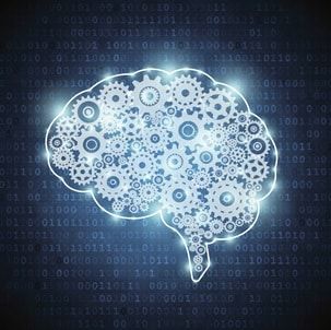Improve your Neurotransmitters, AgeRejuvenation in Tampa Bay and Central Florida