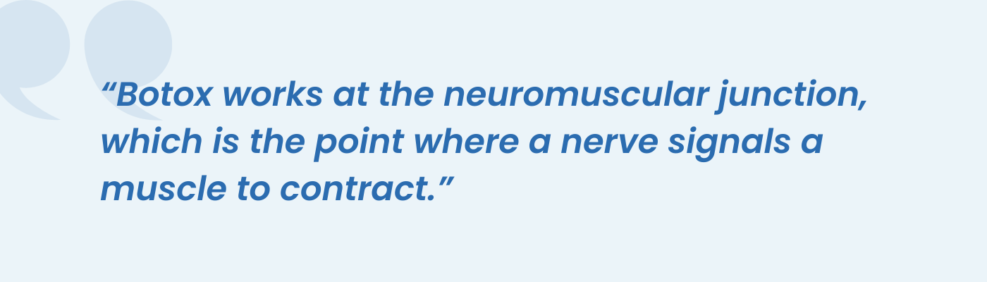 Quote describing how Botox works at the neuromuscular junction where nerves signal muscle contraction