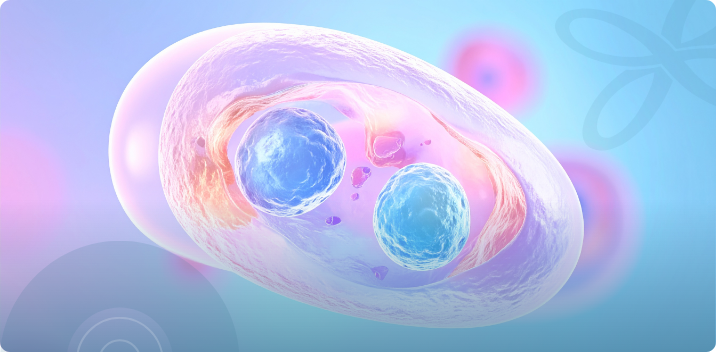 Mitochondrial Function Test in Tampa: How MeScreen Guides a Personalized Longevity Plan, AgeRejuvenation in Tampa Bay and Central Florida