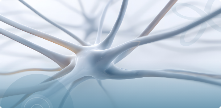 Neural Growth Factor Peptide Support in Central Florida: Dihexa for Focus, Memory, and Stress Relief, AgeRejuvenation in Tampa Bay and Central Florida