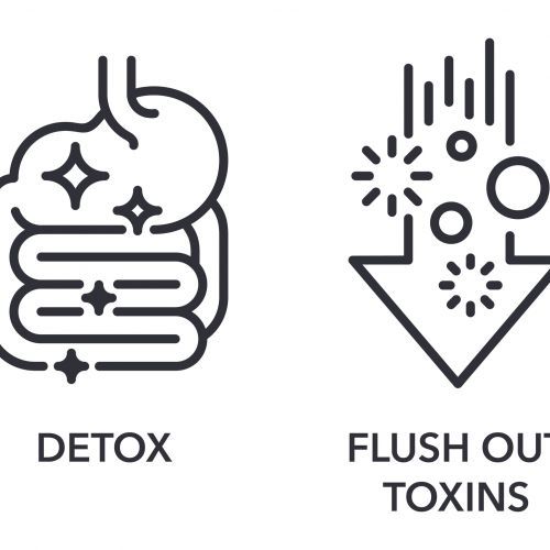 What's In Our Toxic Bodies, AgeRejuvenation in Tampa Bay and Central Florida