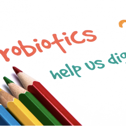 Probiotics Amazing Role In Weight Loss, AgeRejuvenation in Tampa Bay and Central Florida