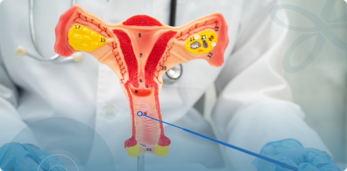 Regenerative Treatments for Vaginal Looseness After Childbirth, AgeRejuvenation in Tampa Bay and Central Florida
