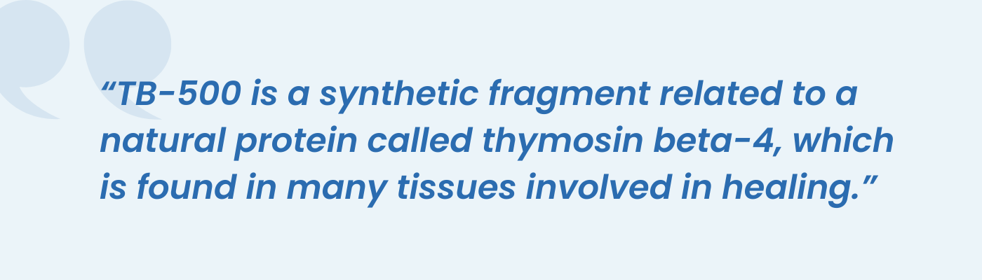 Pull quote explaining that TB-500 is a synthetic fragment of thymosin beta-4 for tissue healing