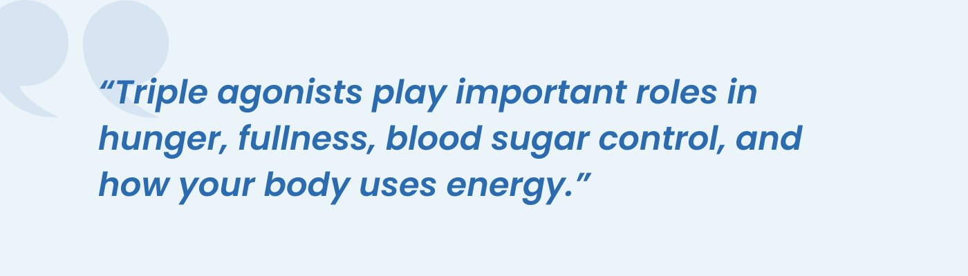Pull quote on triple agonists affecting hunger, fullness, blood sugar, and energy use