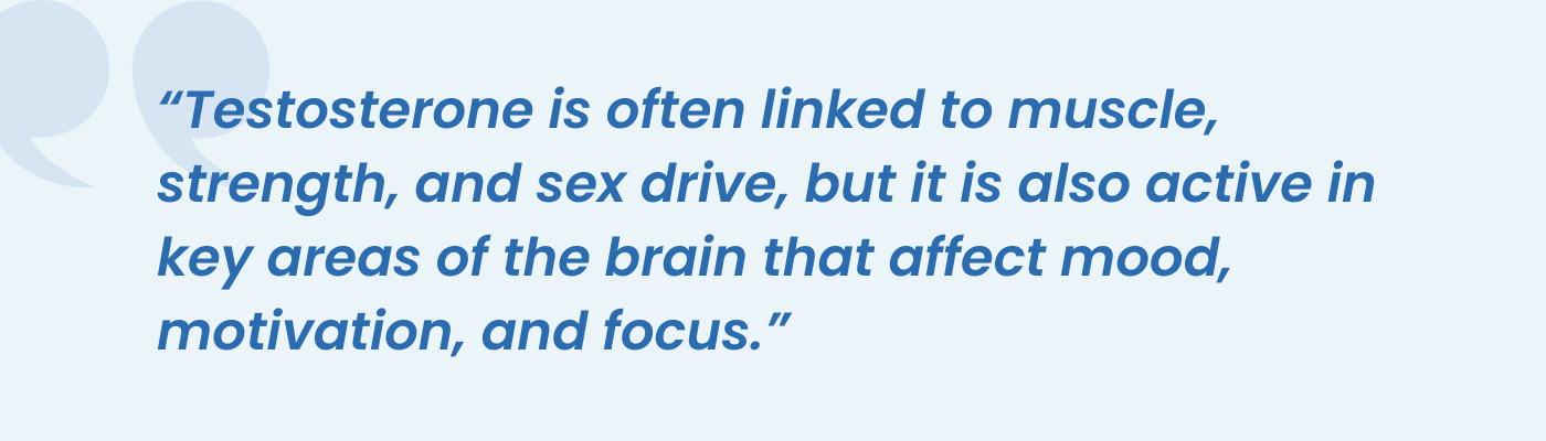 Pull quote on testosterone affecting brain areas that control mood, motivation, and focus