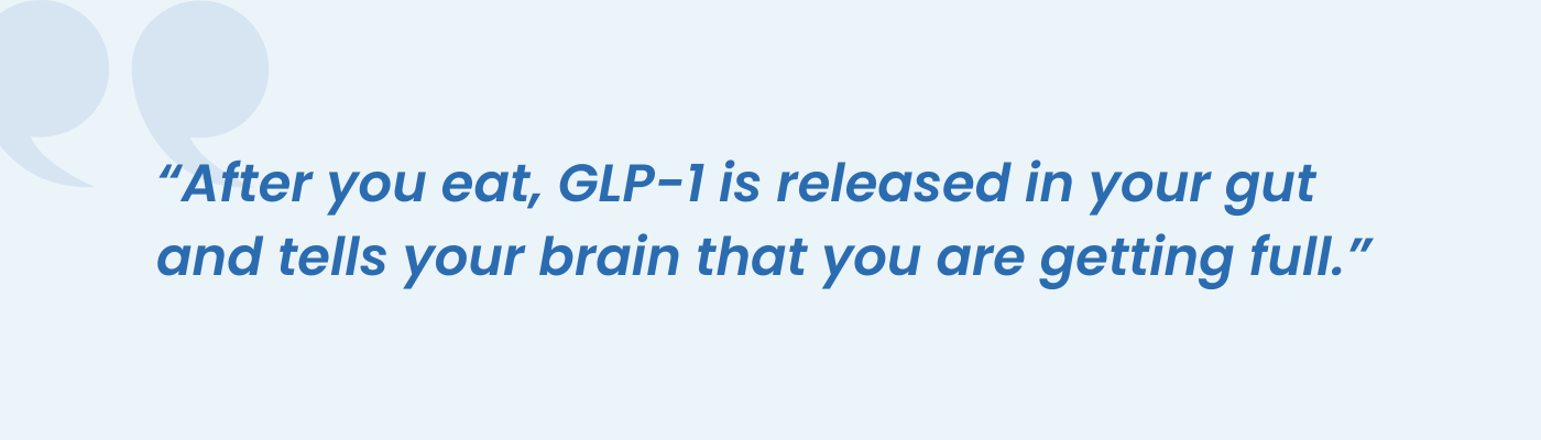 Pull quote explaining how GLP-1 released after eating signals the brain feelings of fullness
